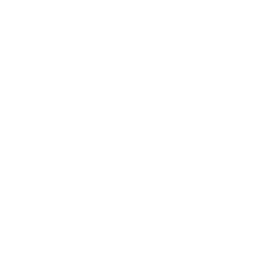 salicru-w