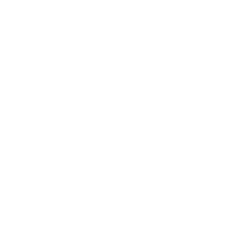 synology-w